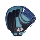 Custom Signature Series HND Catcher's Mitt